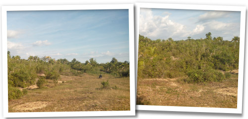 Agricultural Lot